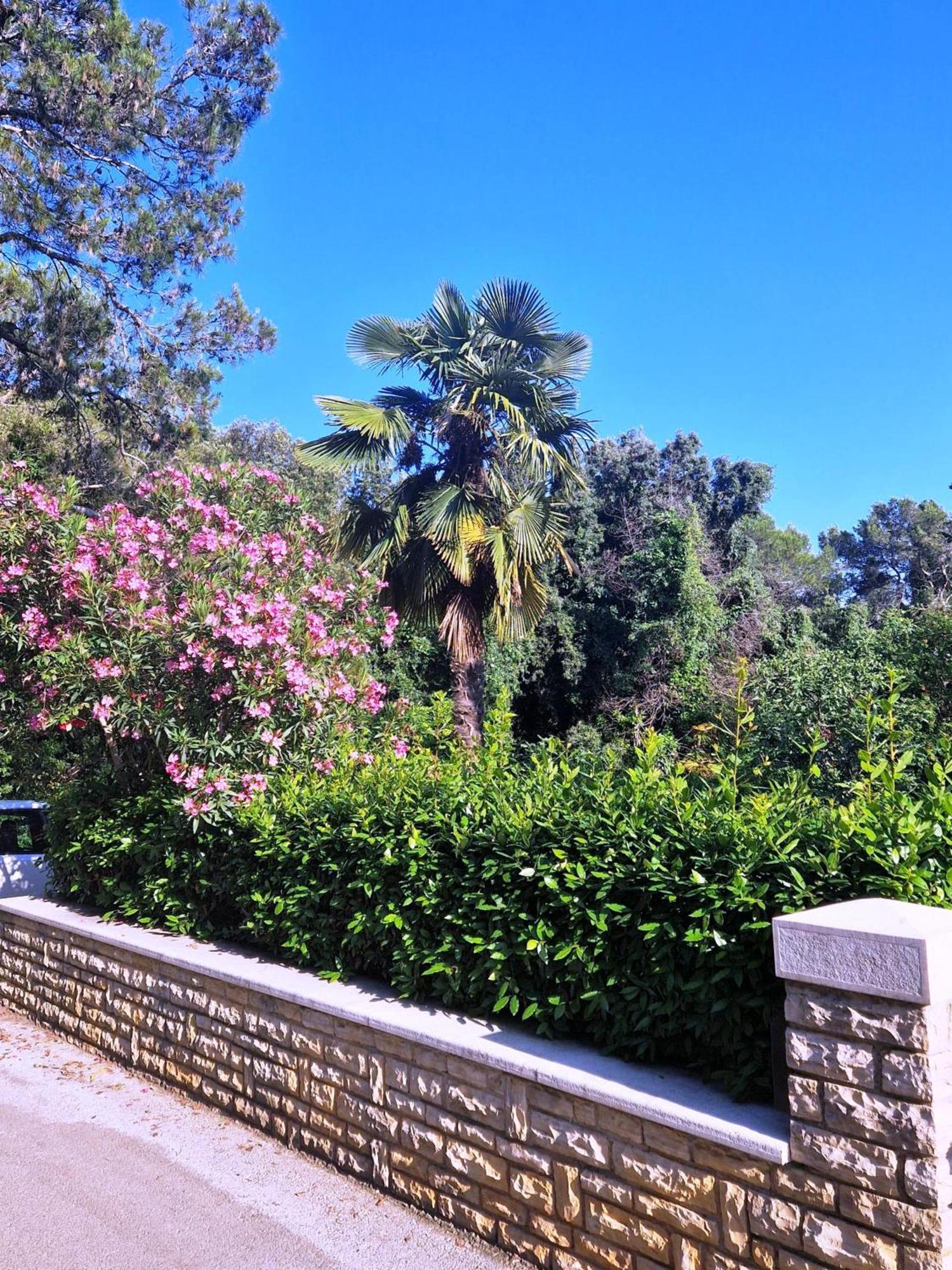 רוביני Molo View Apartment מראה חיצוני תמונה