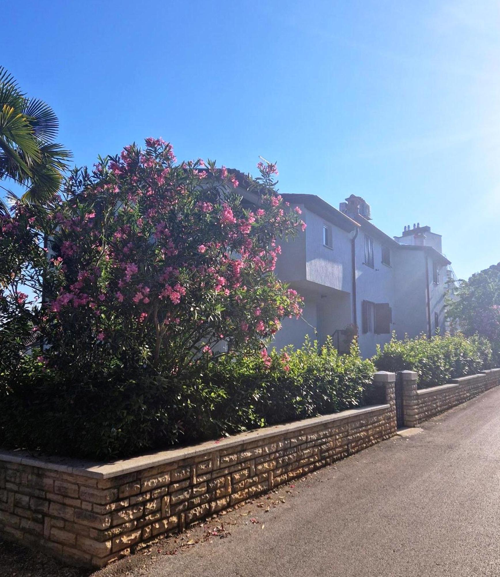 רוביני Molo View Apartment מראה חיצוני תמונה