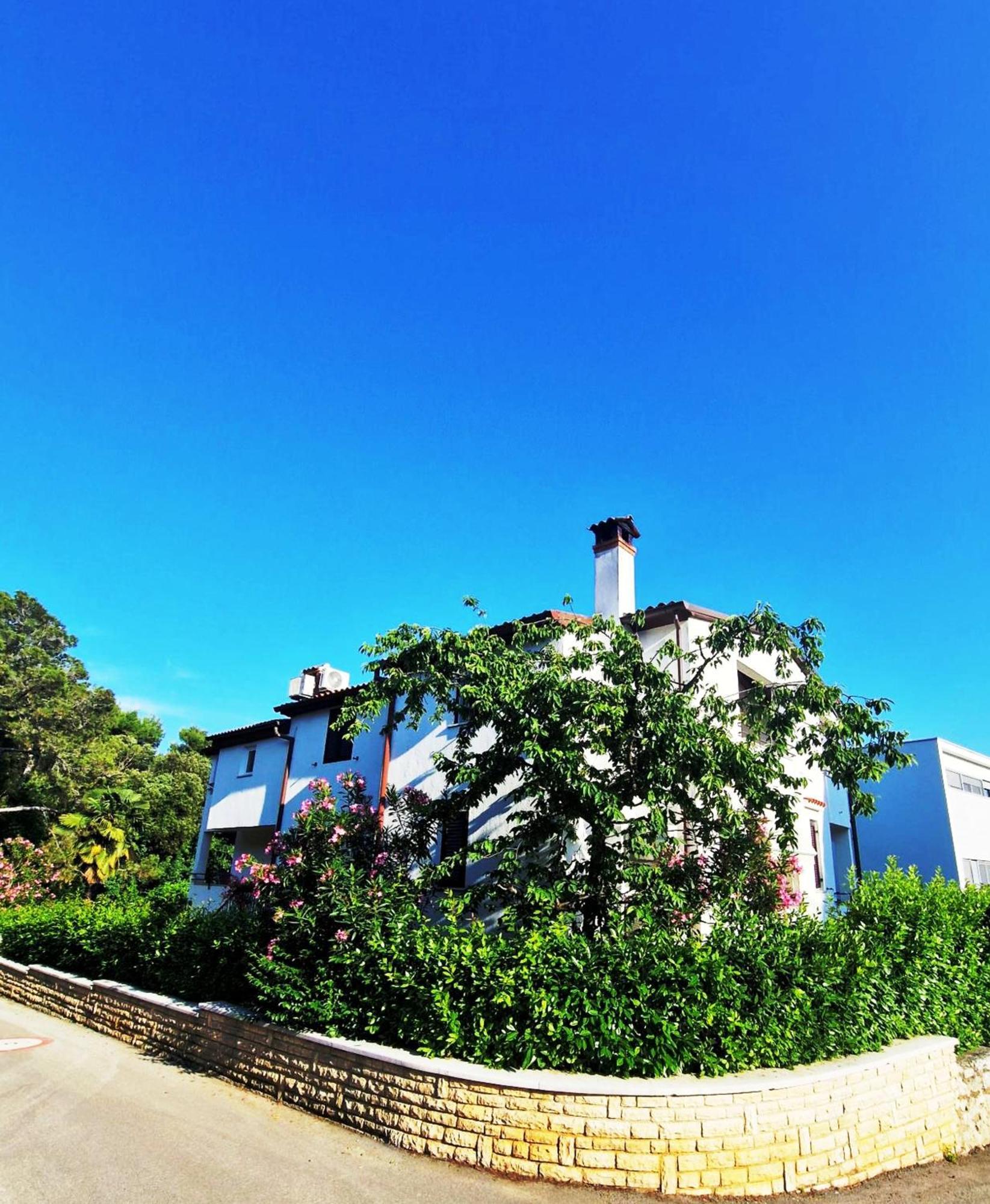 רוביני Molo View Apartment מראה חיצוני תמונה