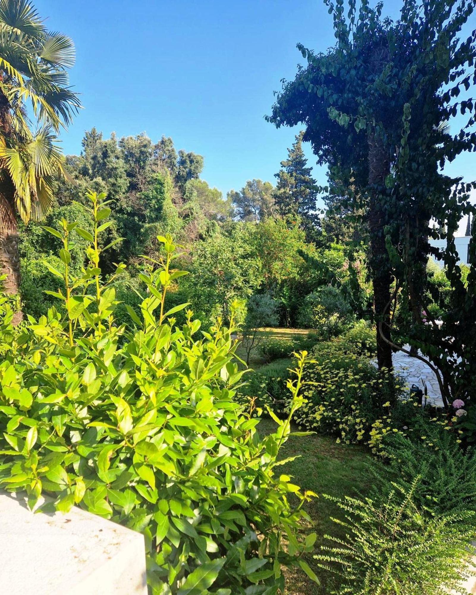 רוביני Molo View Apartment מראה חיצוני תמונה