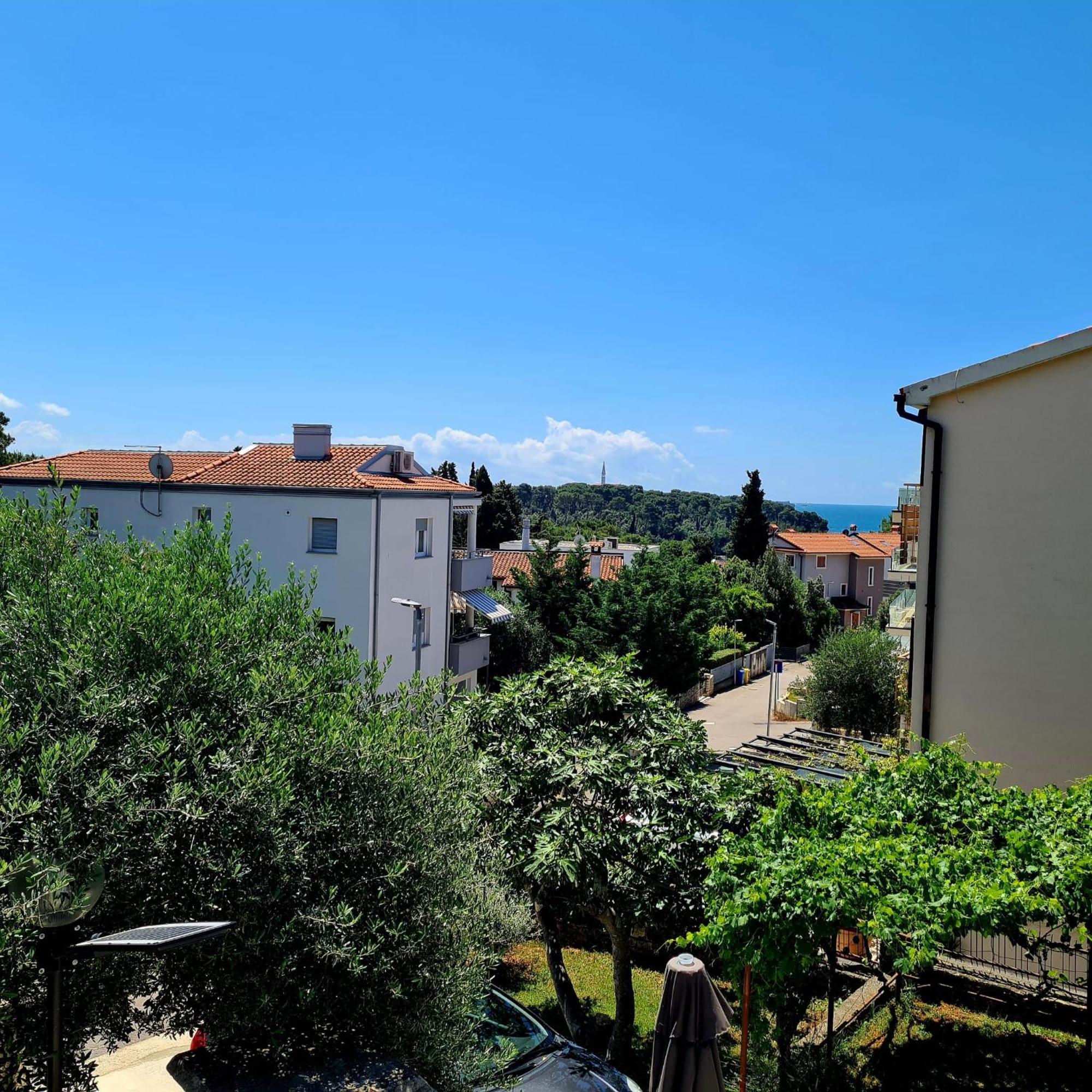 רוביני Molo View Apartment מראה חיצוני תמונה