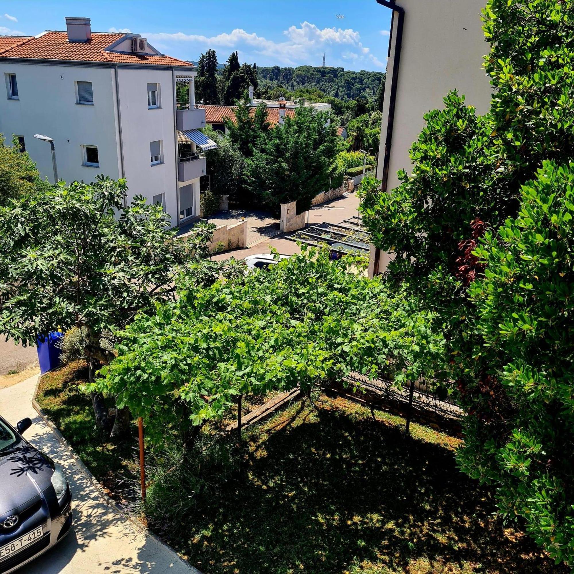רוביני Molo View Apartment מראה חיצוני תמונה